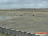 Bahnfahrt nach Lhasa