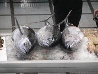 Markt in Madeira - Funchal