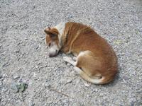 Toskana - Weingut Fattoria San Donato