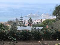 Costa Magica im Hafen von Madeira