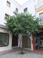 Marbella