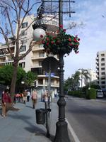 in Marbella