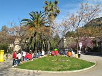 Ausflug nach Valdemossa
