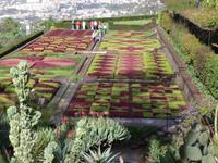 Botanischer Garten