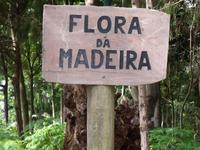 Levada Wanderweg