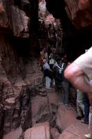 Felszeichnungen im Wadi Rum