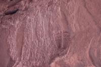 Felszeichnungen im Wadi Rum