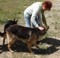 Leon, ein ganz Lieber