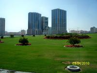 Es ist immer wieder schön was Grünes zu sehen.