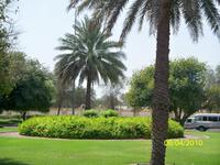 und noch ein Kreisverkehr