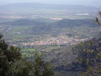 Alaro