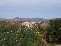 Alcudia