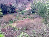 Wandern entlang der Levadas