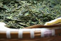 Besichtigung einer Teeplantage