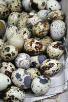 Wachteleier auf einem Markt
