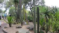 Monaco - Exotic Garden