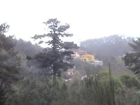 Paradiestal