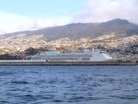 Blick auf den Hafen von Funchal