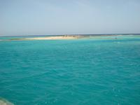 Das Hausriff direkt vor der Nase