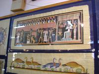 Papyrus