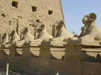 die Widderköpfige Sphingenallee