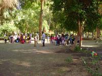 Schulkinder machen einen Ausflug in den Botanischen Garten