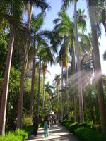 Botanischer Garten