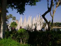 Felukken sammeln sich am Steg