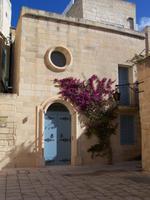 Blumen in Mdina