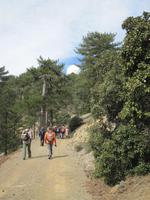 Troodosgebirge - Persephonie Wanderweg