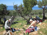 Auf dem Weg zur Avagas Schlucht