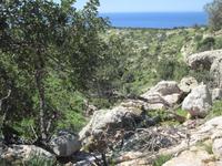 Blick in die Avagas Schlucht