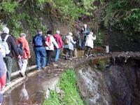 Über Stock und über Stein ...