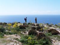 An den Dingli Cliffs