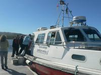 Fahrt mit dem Tenderboot Falklandinseln