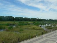 Reserva Ecológica - Buenos Aires