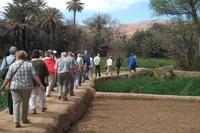 Spaziergang in der Palmerie