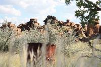 Szenerie im Giants Playground