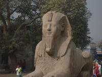 Eine Sphinx-Statue in Memphis
