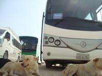 Immer mittendrin mit Eberhardt TRAVEL