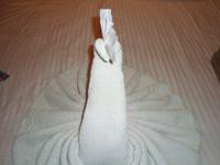 Jeden Abend eine Überraschung in der Schiffskabine