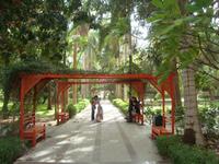 Der Botanische Garten