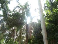 Botanischer Garten