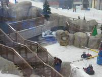 Dubai- Mall of Emirates- Skihalle