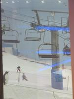 Dubai- Mall of Emirates- Skihalle