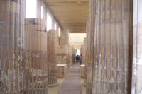in Sakkara