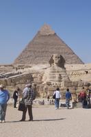 Shpinx und Chepren-Pyramide