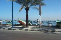 Corniche in Alexandria