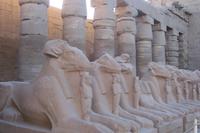 Widderköpfe in Karnak