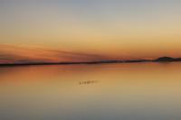 Abendgenuss auf dem Nassersee